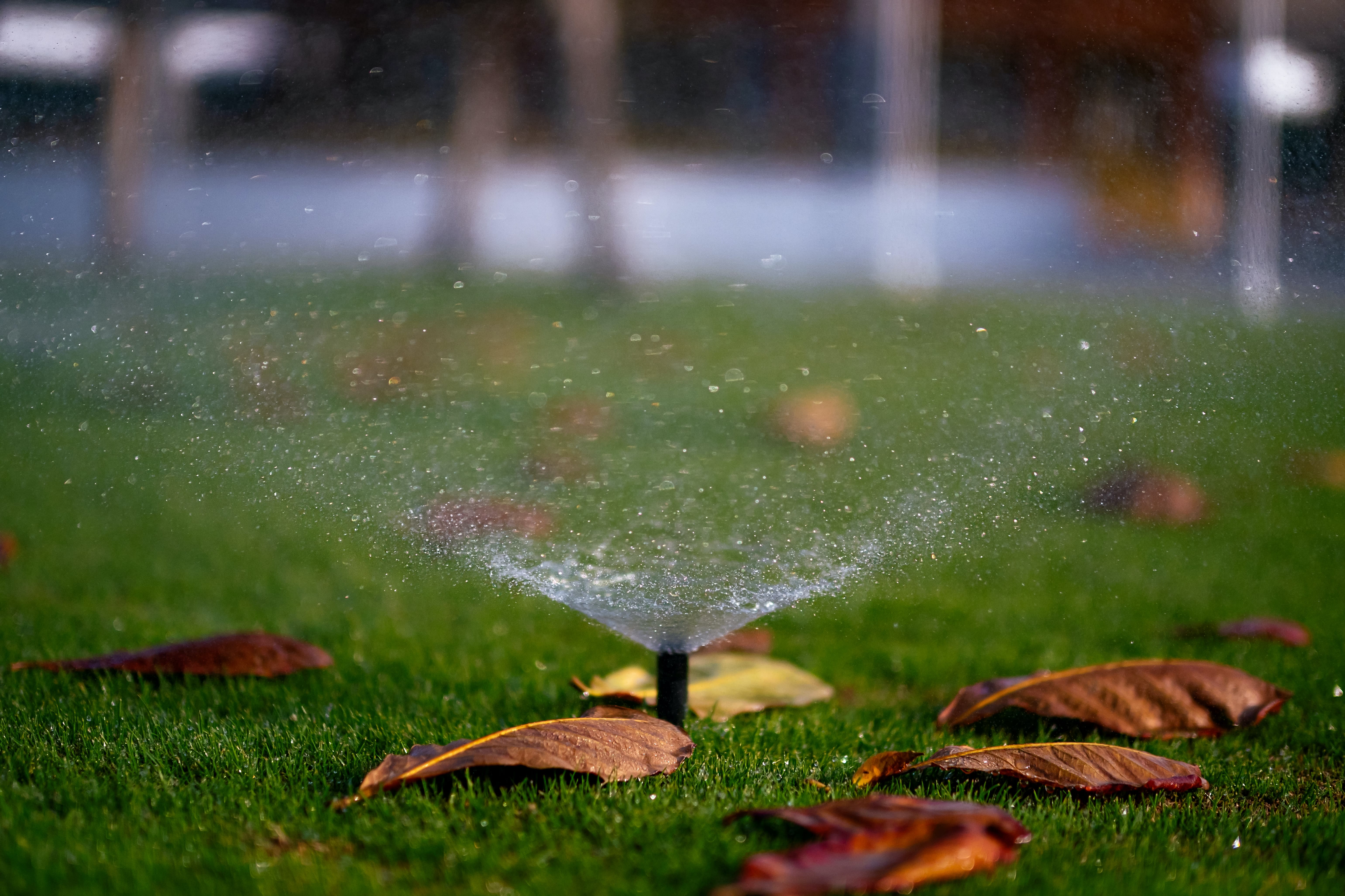 Blow Out Sprinklers For Winter inception-app-prod/YWViMmI1YjctOTA1MC00ODhlLTlkZTQtOWMwOTlhM2I3NWMx/content/2023/10/1e61d98dc886476c539ab3d667a61e1223001187.jpg