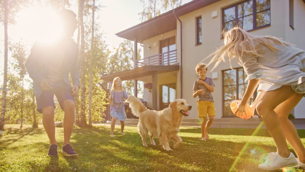 Paws & Property: Creating Pet- Friendly Spaces in Northeast Homes inception-app-prod/YWY2MjlhODgtNmI0Mi00OTMxLWI3N2YtNDRjYmM3MDI2YWQy/content/2024/11/ffcd219a022ad862153466669314e5713a1f90ca.jpg