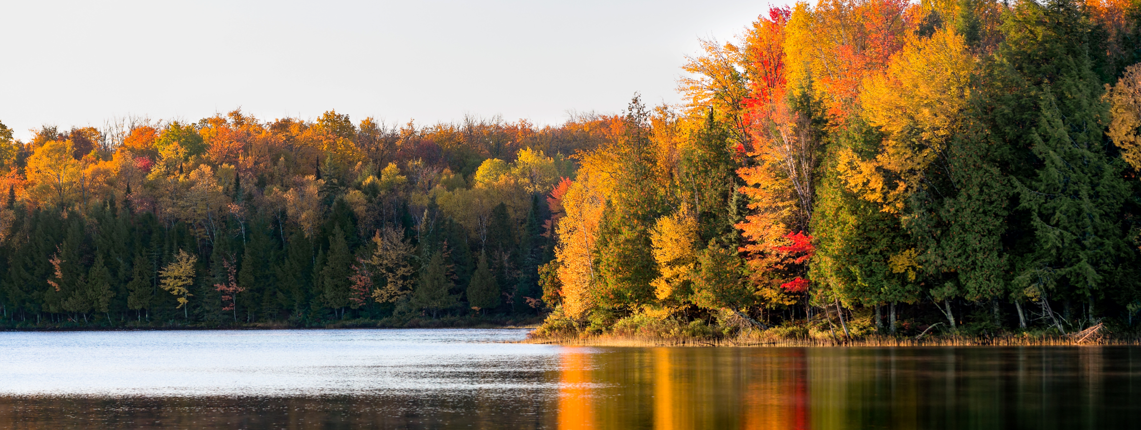 Gilford inception-app-prod/YWYwOWQzM2MtYzAwZS00YzEzLWEyMjEtMTQ4MDExYTMzYTk4%2Fcontent%2F2018%2F12%2FLand 105.png