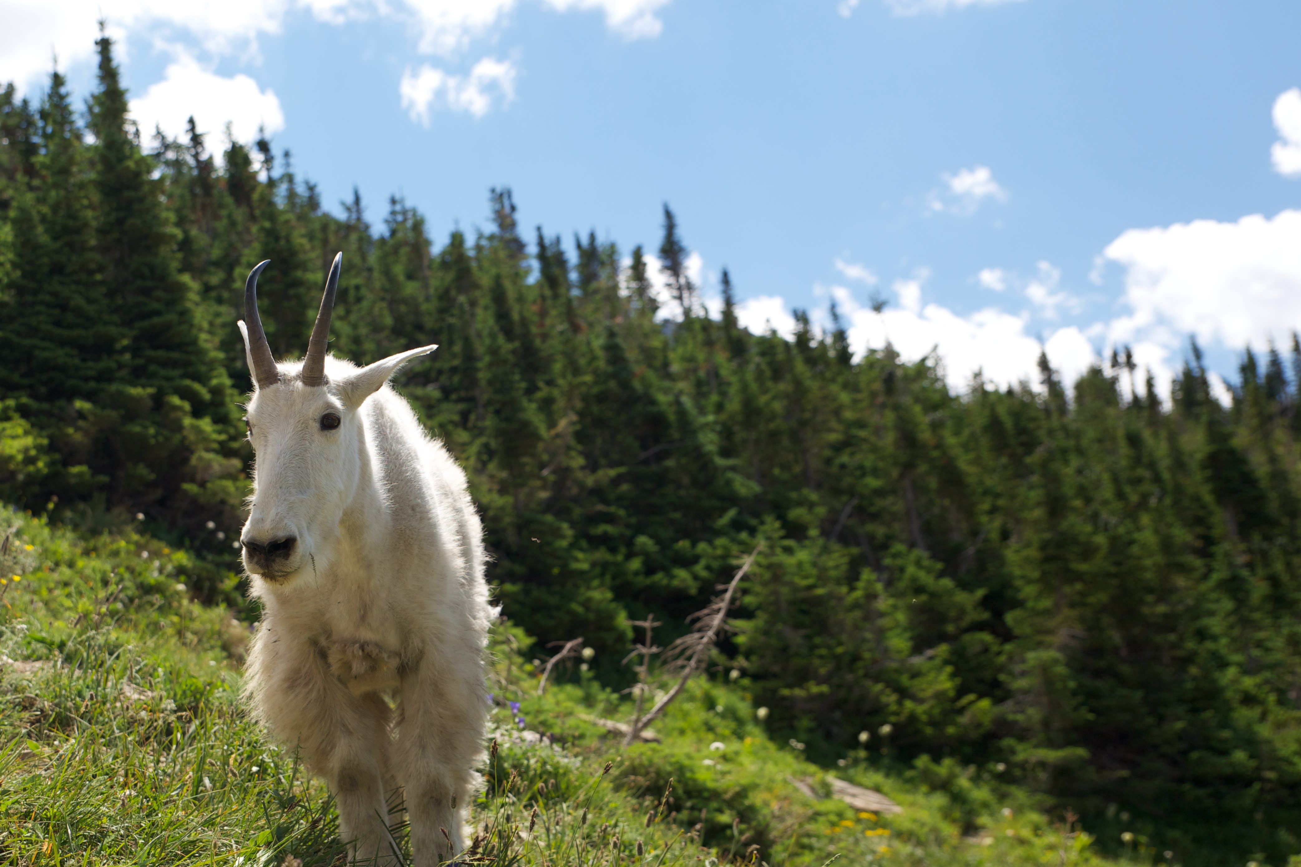 Did You Know...? inception-app-prod/YjA1MmZmY2EtZjZkNS00Y2JmLWI0NDEtYWE0ZTgwOTVhOTY2/content/2016/04/2014-04-16-891A0170-2.jpg