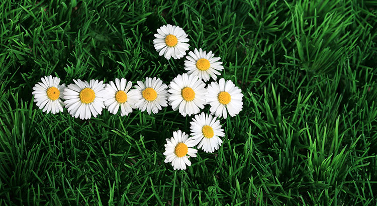 What's In Store For The Market In 2017 inception-app-prod/YjA1MmZmY2EtZjZkNS00Y2JmLWI0NDEtYWE0ZTgwOTVhOTY2/content/2017/03/STM-Share8.jpg