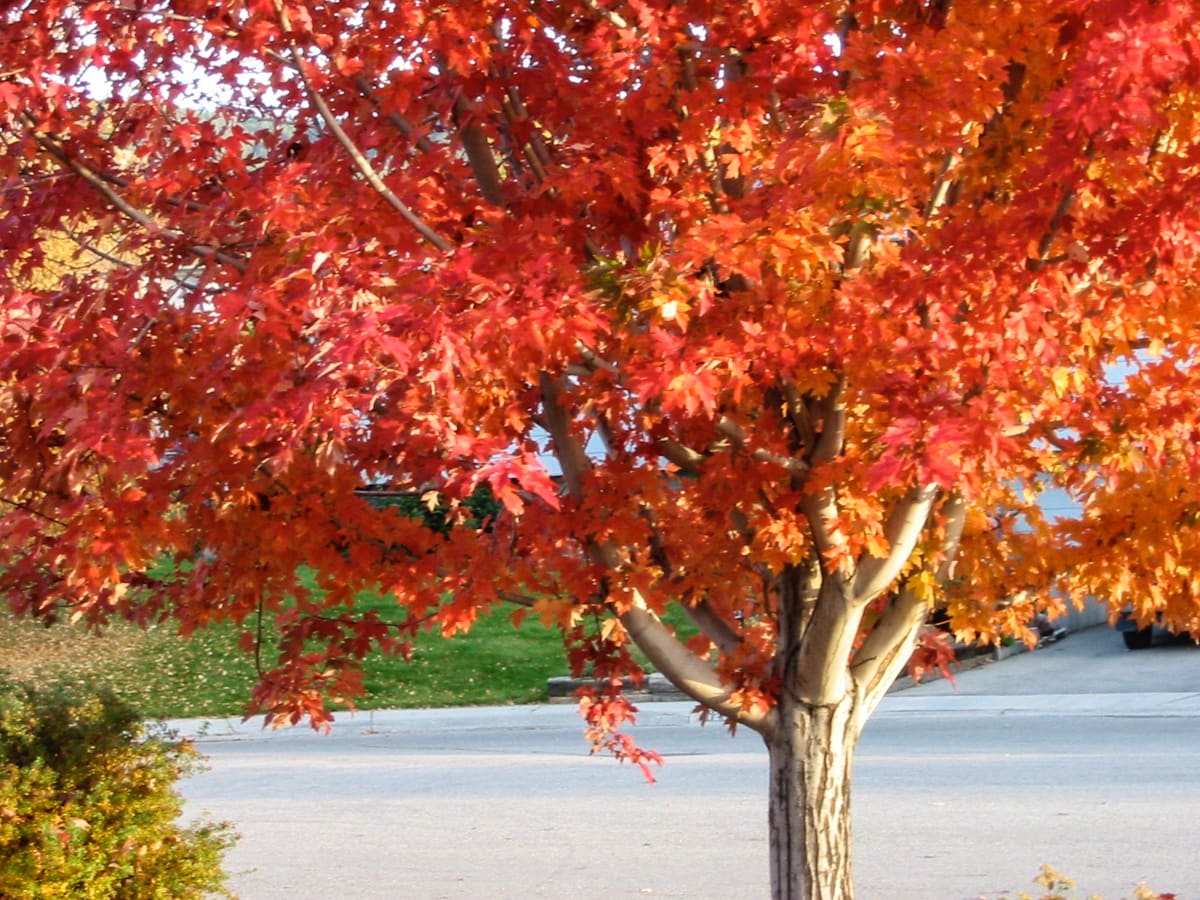 New Listings in Missoula! inception-app-prod/YjA1MmZmY2EtZjZkNS00Y2JmLWI0NDEtYWE0ZTgwOTVhOTY2/content/2017/10/IMG_1052 %281%29.jpg