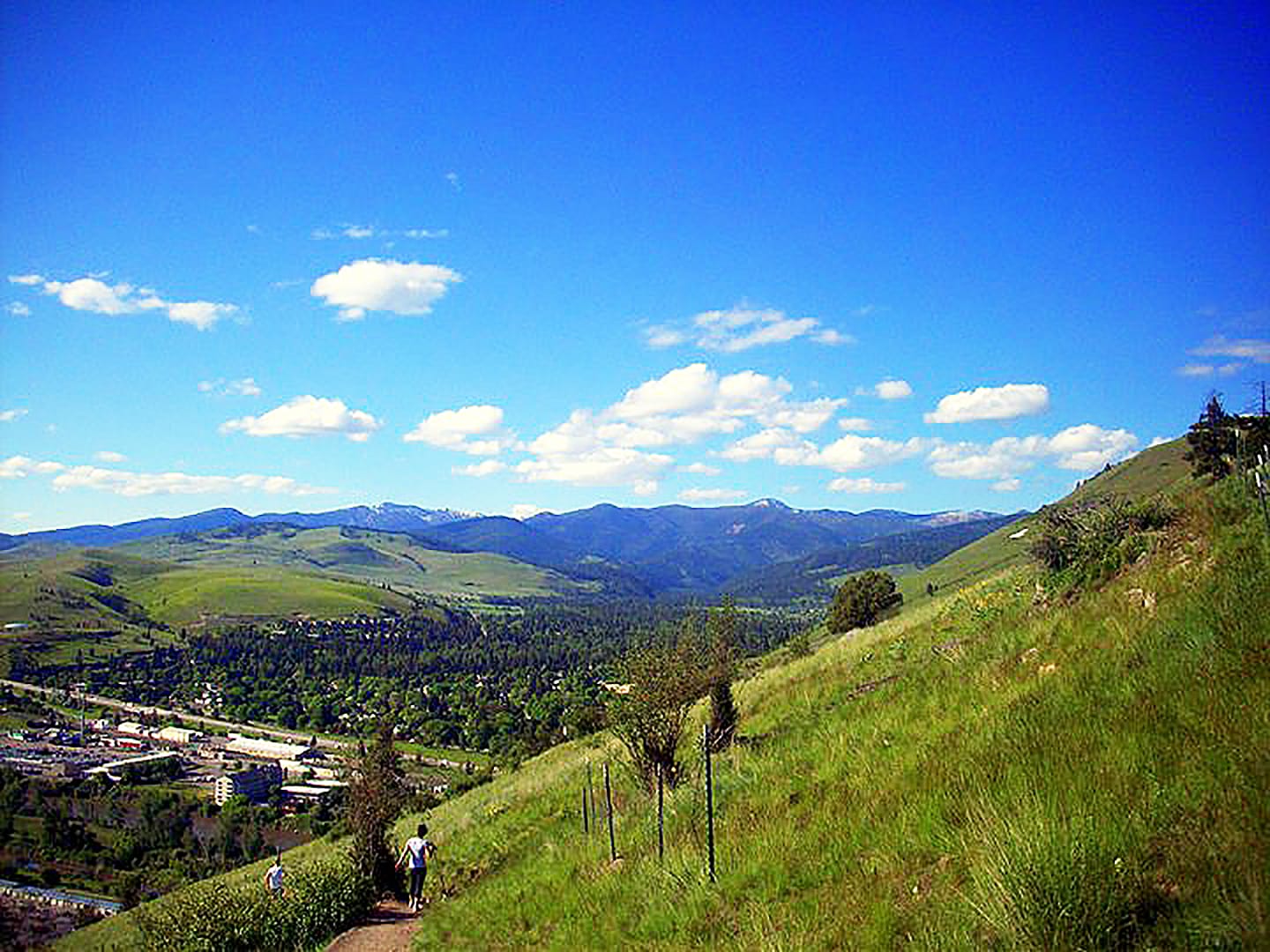 Three Incredible Neighborhoods in Missoula inception-app-prod/YjA1MmZmY2EtZjZkNS00Y2JmLWI0NDEtYWE0ZTgwOTVhOTY2/content/2018/09/Walking M Trail big.jpg