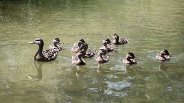 Franklin to The Fort inception-app-prod/YjA1MmZmY2EtZjZkNS00Y2JmLWI0NDEtYWE0ZTgwOTVhOTY2/content/2020/01/franklin.jpeg