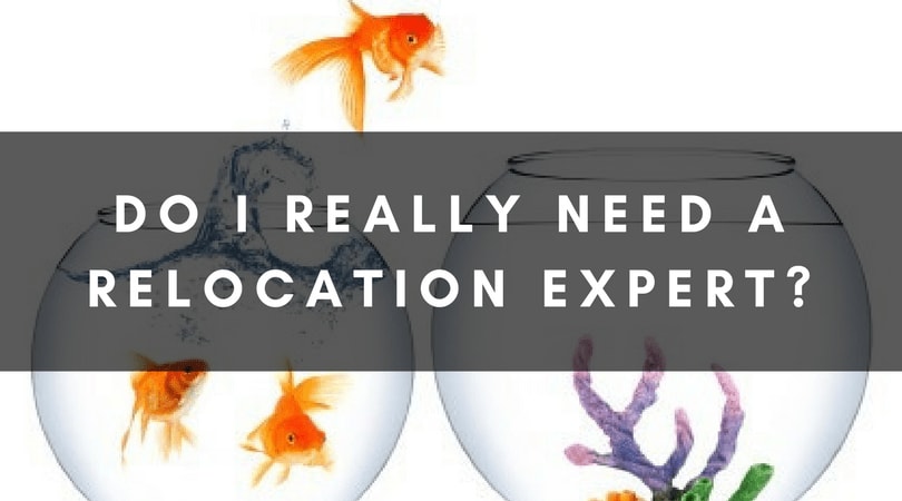 DO I REALLY NEED A RELOCATION EXPERT? inception-app-prod/YjA2NDBiZTAtZGM4NC00MzY0LWE3YzAtZjg0ZDY2Y2NlZmZm/content/2019/07/13-2.png