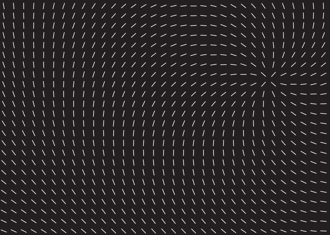 Sample Marketing Material inception-app-prod/YjA2NDBiZTAtZGM4NC00MzY0LWE3YzAtZjg0ZDY2Y2NlZmZm/content/2021/08/compassticks.jpeg