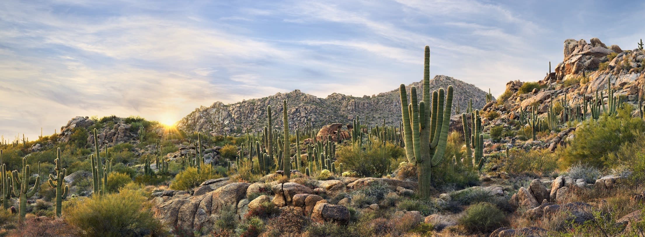 Scottsdale inception-app-prod/YjEzZGFlODgtZDg4Zi00NjcxLThmMDYtYTNlN2M2Y2QzZGYw/content/2022/11/e581f8cb623bb914f32c51d0d0ca1266028d4743.jpg