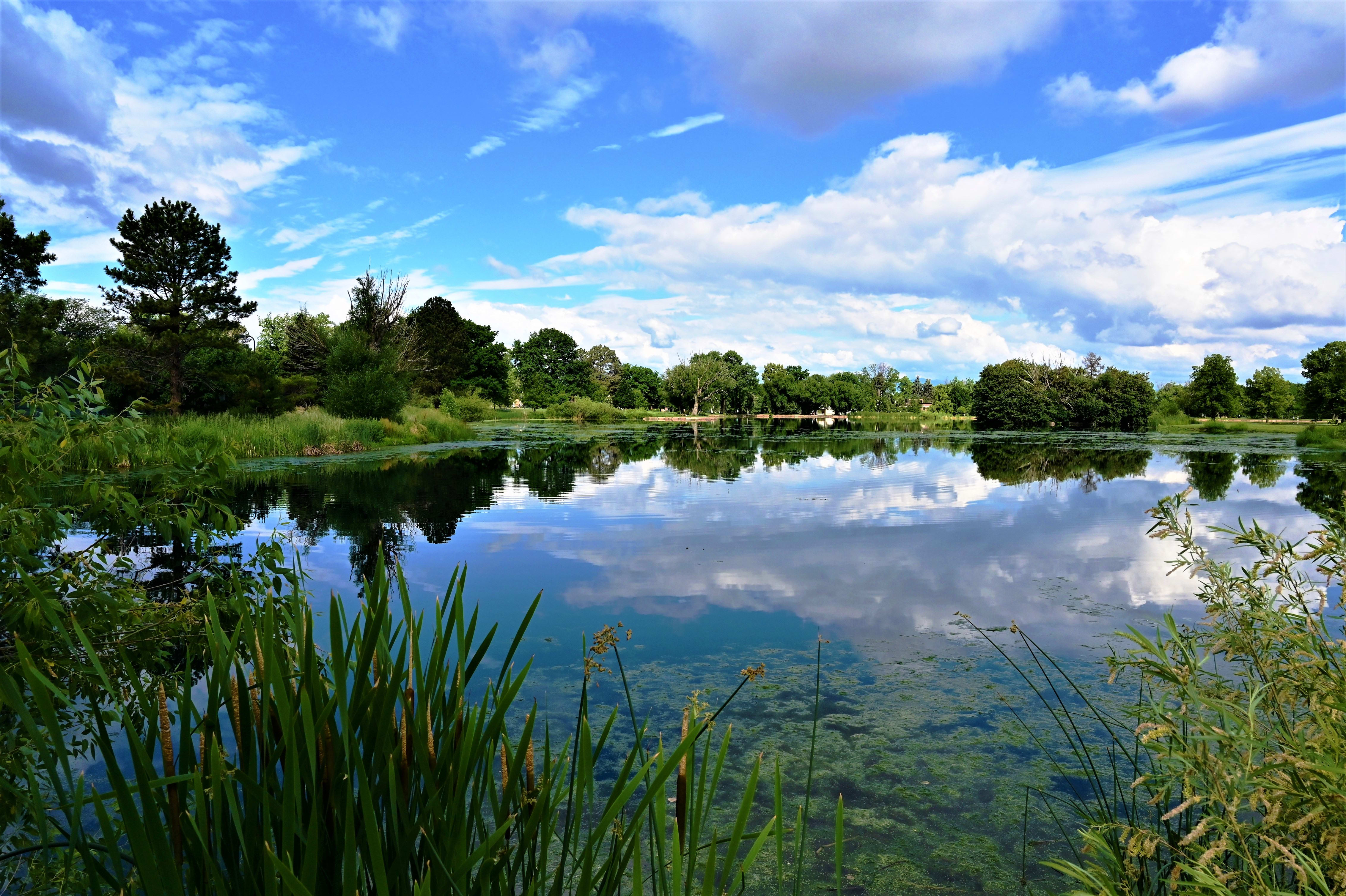 Washington Park inception-app-prod/YjI2NjU1NjMtMWQwNy00NDA3LTk4ZjItM2ZkM2UzMTVlNjQ0/content/2025/05/f5469c77cff10bc7b2e63e05ebfe1fa2af77f798.jpg