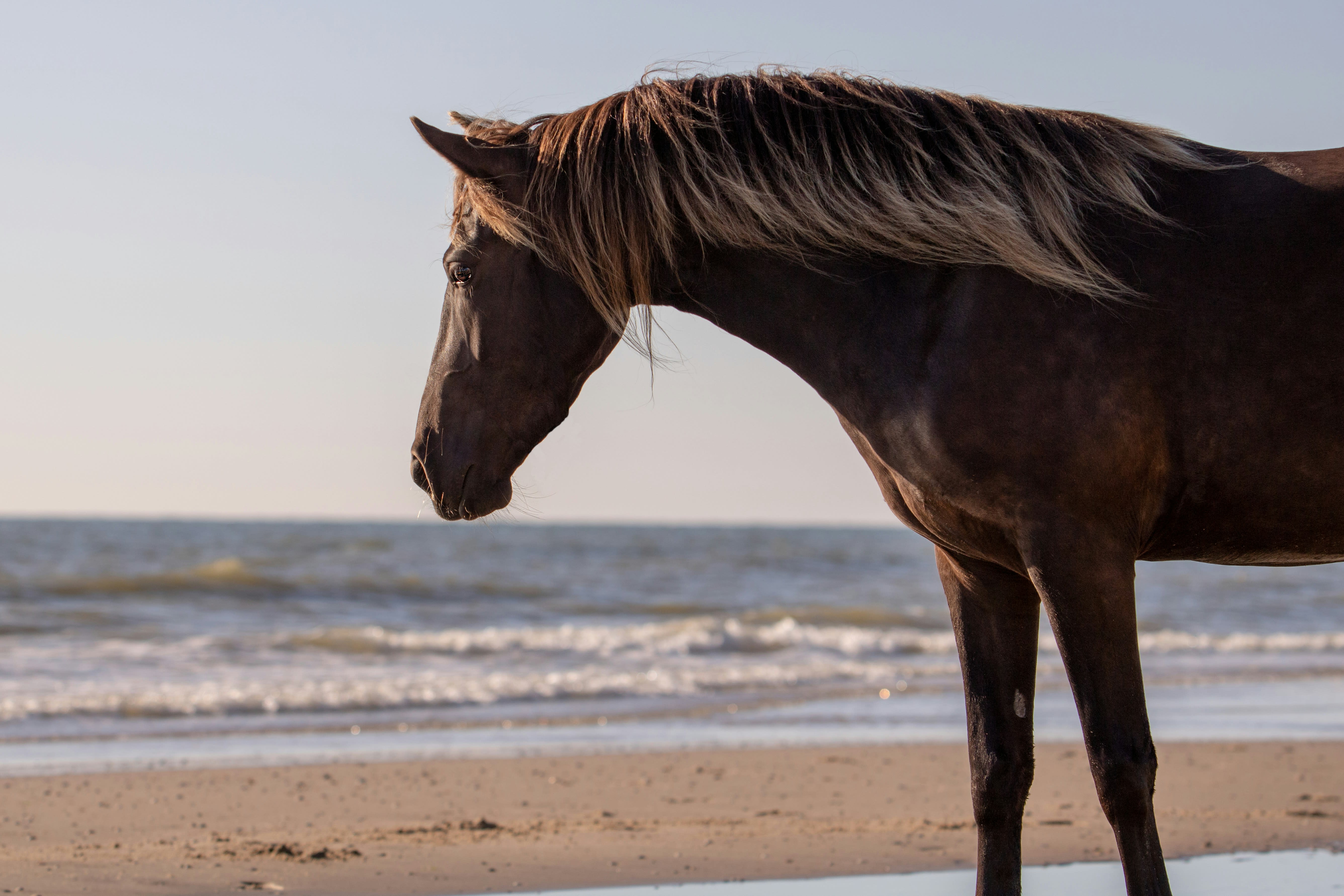 Explore Currituck County, North Carolina inception-app-prod/YjM1YTMwOWMtYzhjYy00OWM4LTk1MzQtNjg0NjM1NzQ1MGY1/content/2026/05/f4131da57a122460aa0b5e6fed91326d1cadeebb.jpg