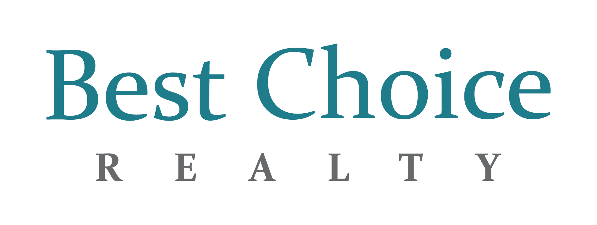 Jan Dyer logo