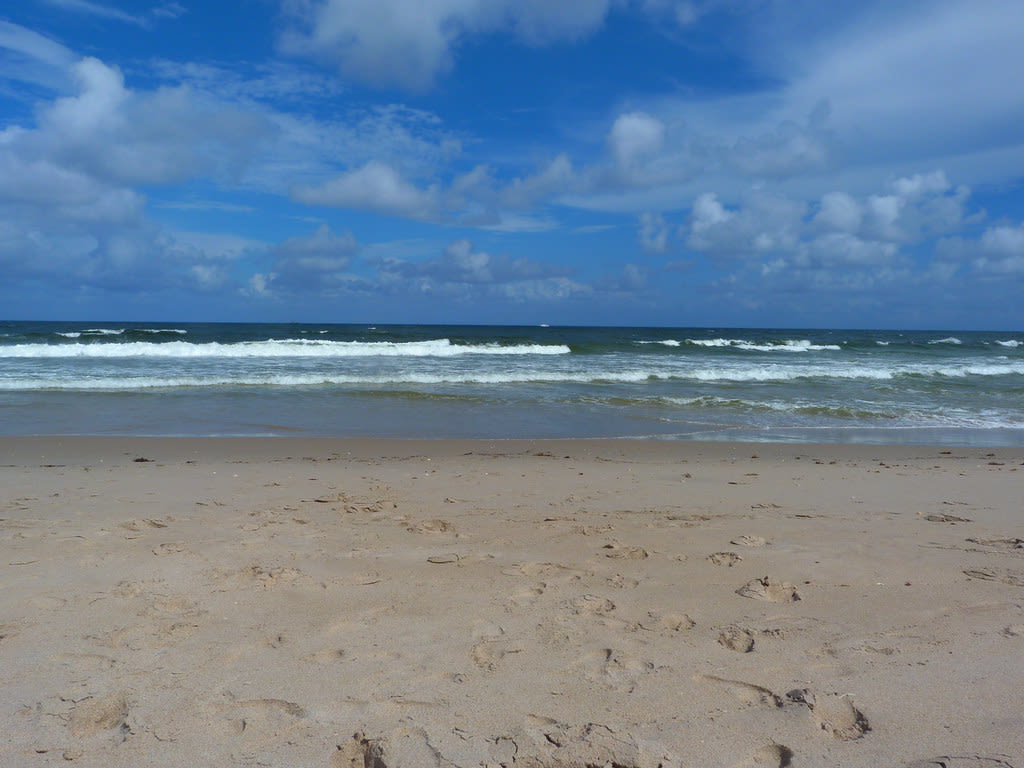 Delray Municipal Beach inception-app-prod/YjVkMTQzZGQtMWViOS00YjA0LWFjYjYtNWIwODBhZWIyZjlj/content/2026/04/ea6e999de4b93b466901e270745a477b52dae1e1.jpg