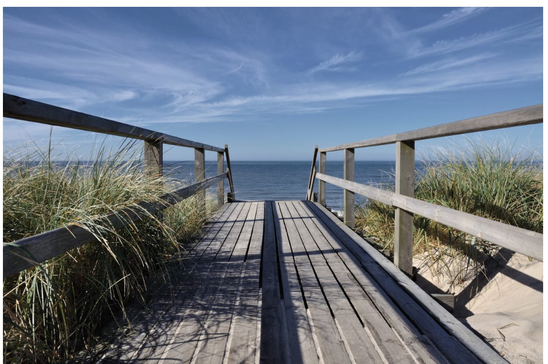 inception-app-prod/YjgzOWUzMWItOWZjNS00NmIxLTljNmYtNmJjMjNlMDY2MTQ2/content/2019/07/Beach scene.png