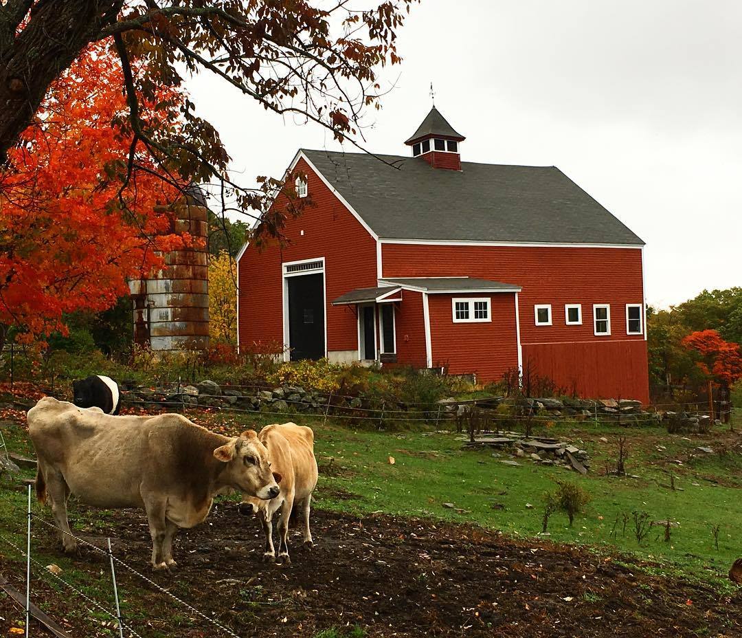 Bolton in Pictures: 15 Instagrams that Capture the Beauty of #Bolton inception-app-prod/YjliYjUyNDAtNGYzOS00YjFhLWEyMTEtNWY3M2E3MTUwZTEx/content/2017/08/kotlarzrealtygroup-20170822-amyconlin-20161022-eqxcof-2.jpg