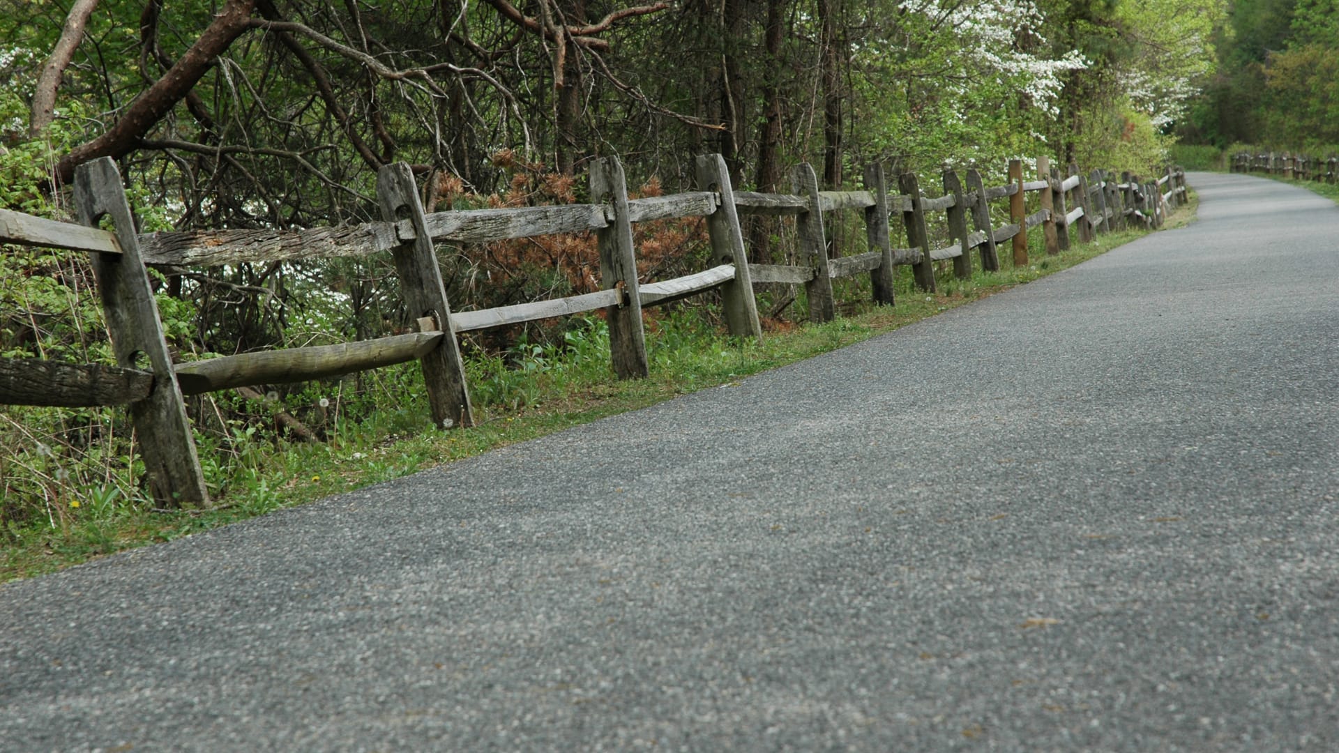 Pasadena inception-app-prod/YmE0NGQ3YWUtNDU2NC00M2RmLTg0ZmEtNDBjMmZmNDExZGE2/content/2025/02/2469b976ff6d1eb4ec7ddef6054fb4ed04e588f4.png