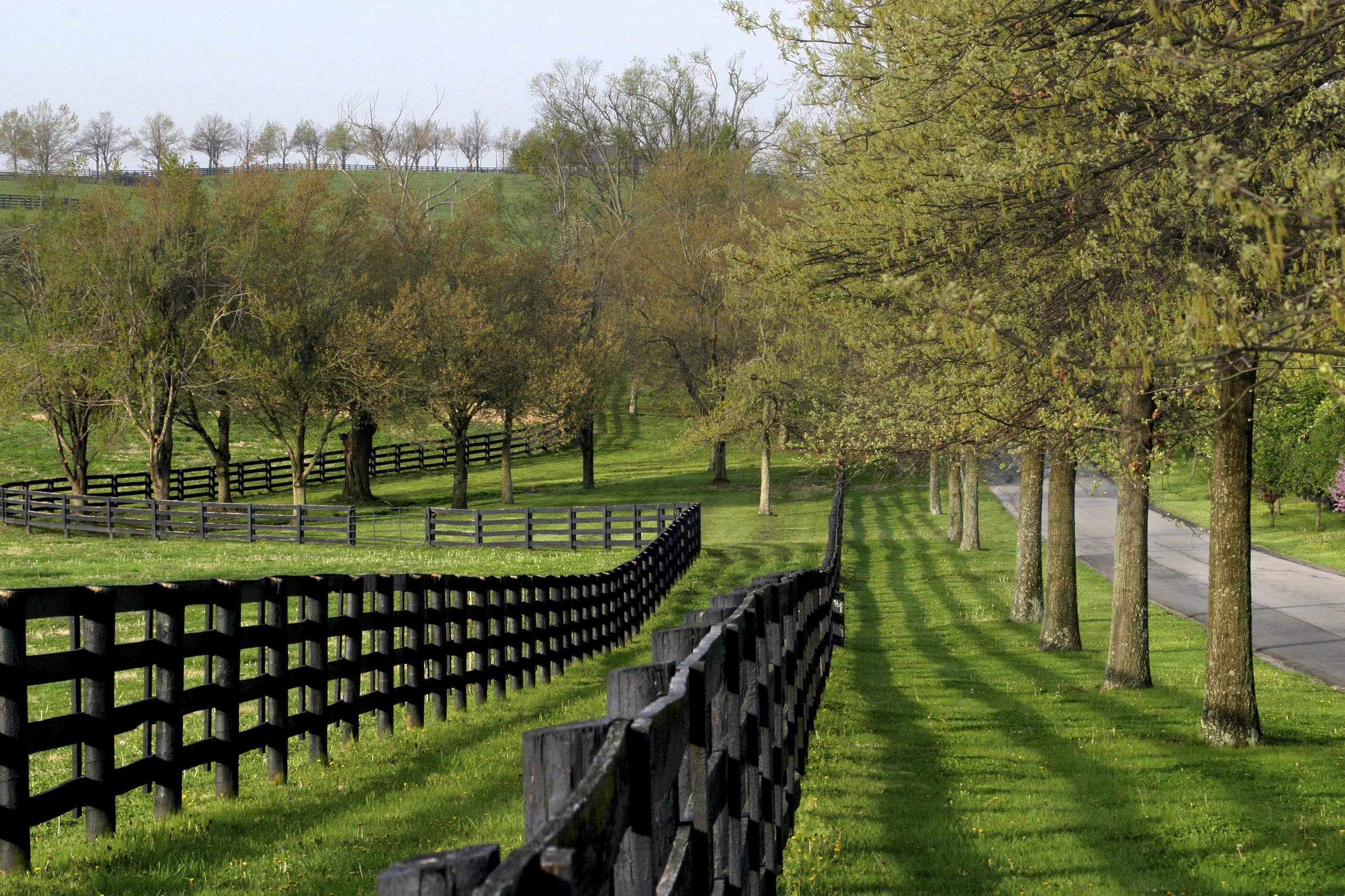 Top 3 Reasons To Buy a Home Before Spring inception-app-prod/YmEzMDhmY2YtZTY2MC00ZTgyLThhNjQtNTg4MDFiZDM3YTA0/content/2025/12/b8cab66a46f99611164cc0957946f28d7ce64b98.jpg