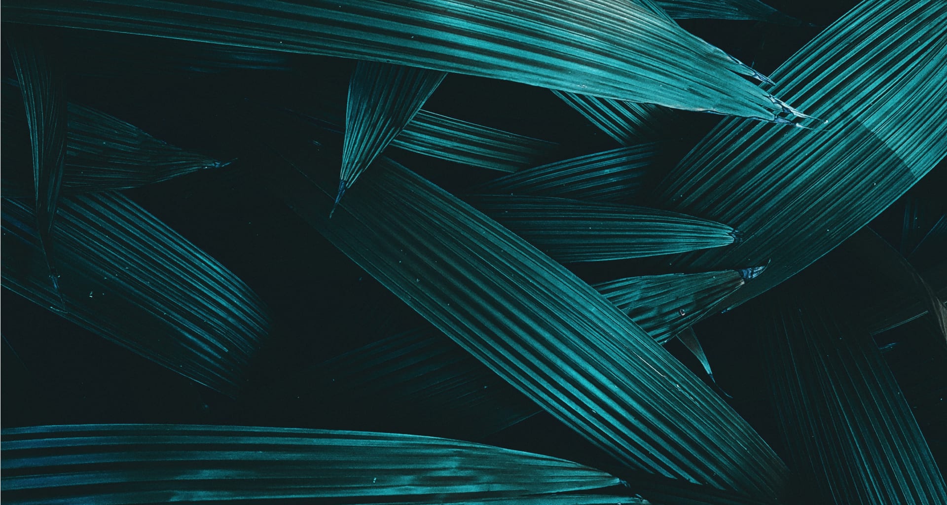 inception-app-prod/YmI4ZWFlZWEtNjUyZC00NjRhLTlkNTgtY2M2MGUyYzEwNzRi/content/2021/03/Desktop-11.png