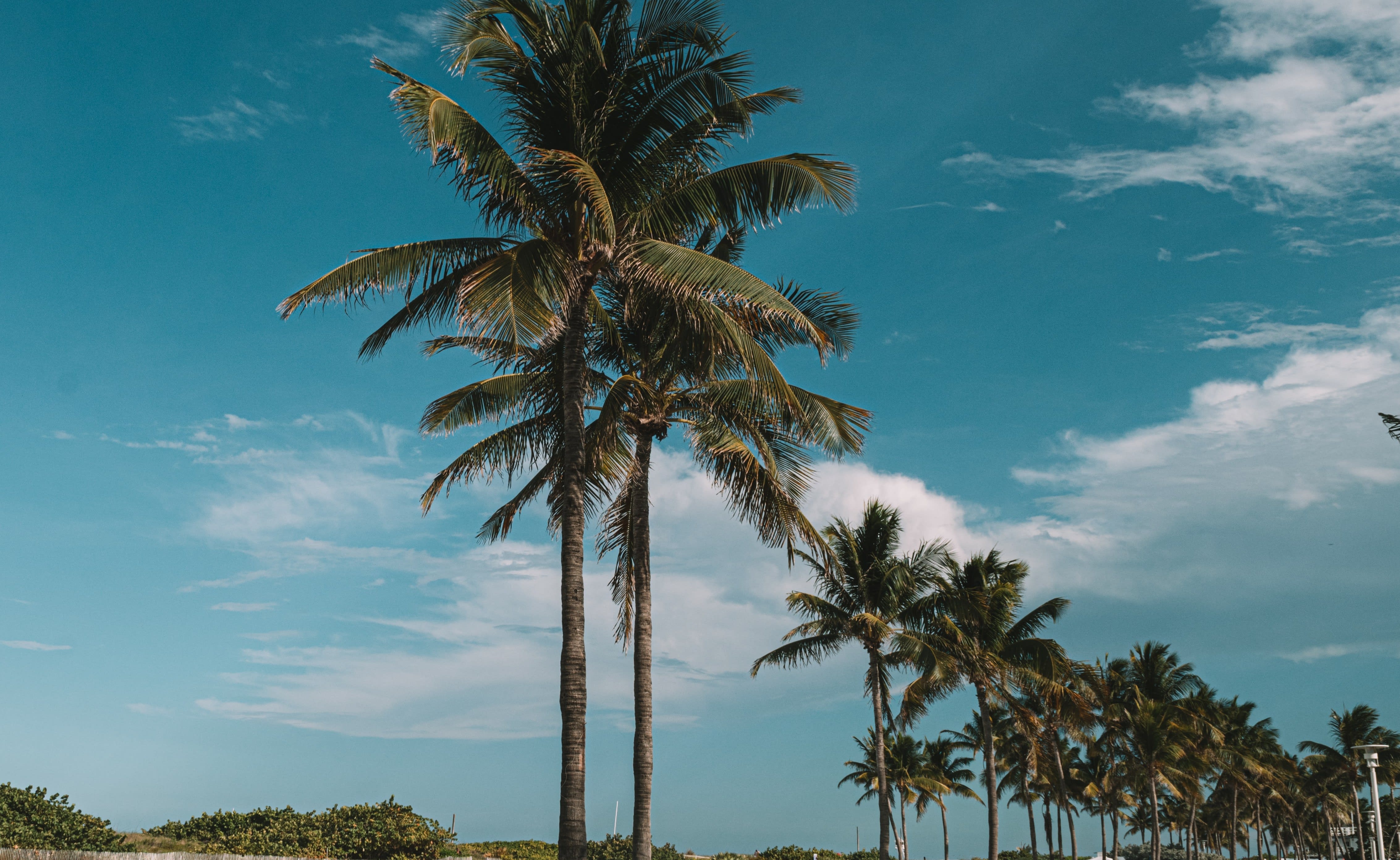 WHY WORK WITH US inception-app-prod/YmI4ZWFlZWEtNjUyZC00NjRhLTlkNTgtY2M2MGUyYzEwNzRi/content/2021/09/juan-rojas-LTc-zqC7_OI-unsplash.jpg