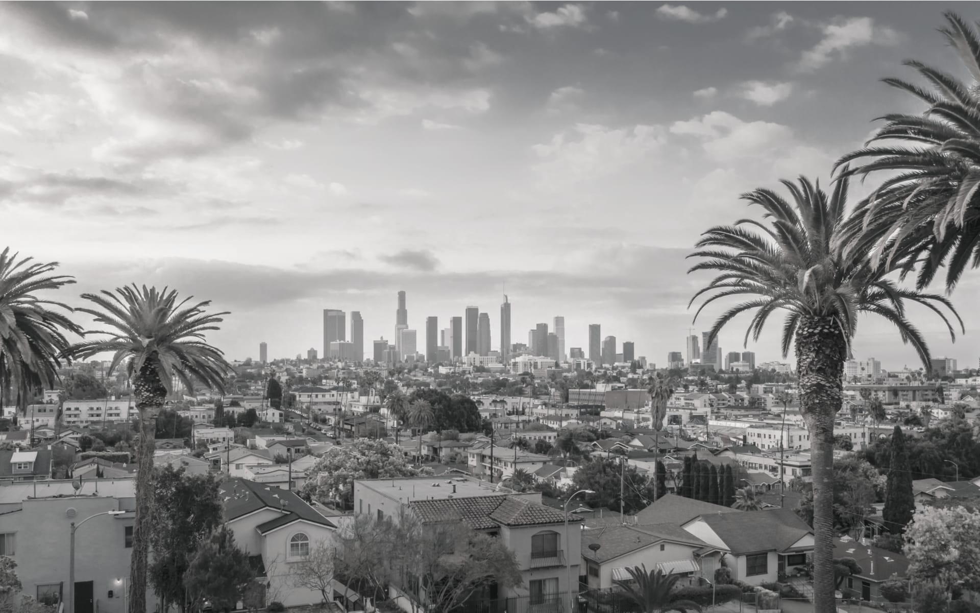 Client’s Testimonials inception-app-prod/YmI4ZWFlZWEtNjUyZC00NjRhLTlkNTgtY2M2MGUyYzEwNzRi/content/2021/11/946c425b300730a957e4757aff908f496fb13438.png