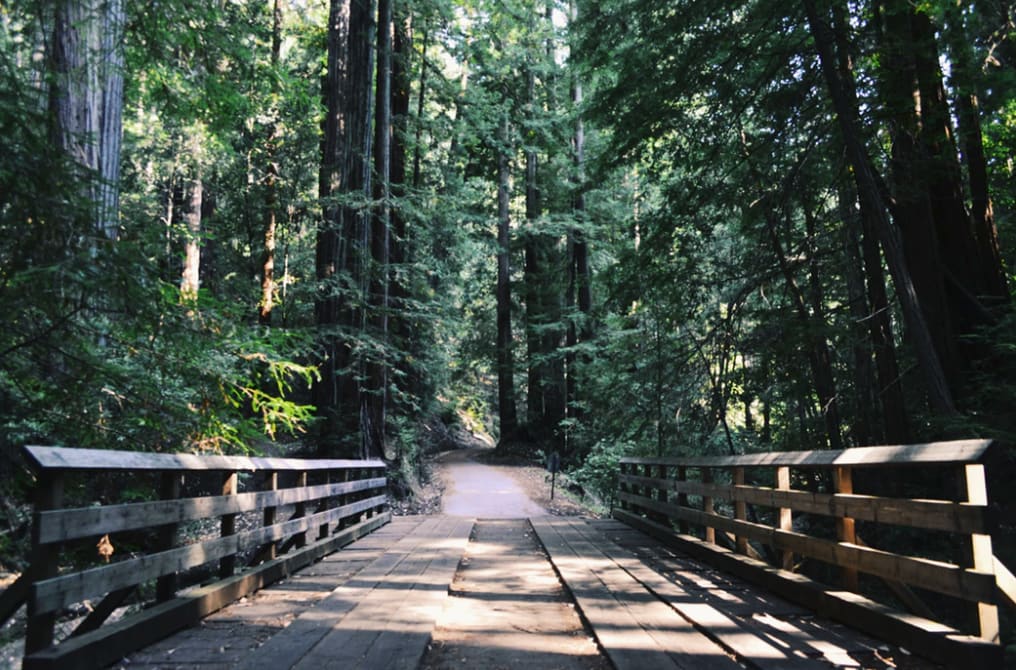 inception-app-prod/YmIxYjdmNjgtOWRkNC00OGU4LTljMmQtMjRmYjg1NTVkYWQ2/content/2019/07/hike.PNG