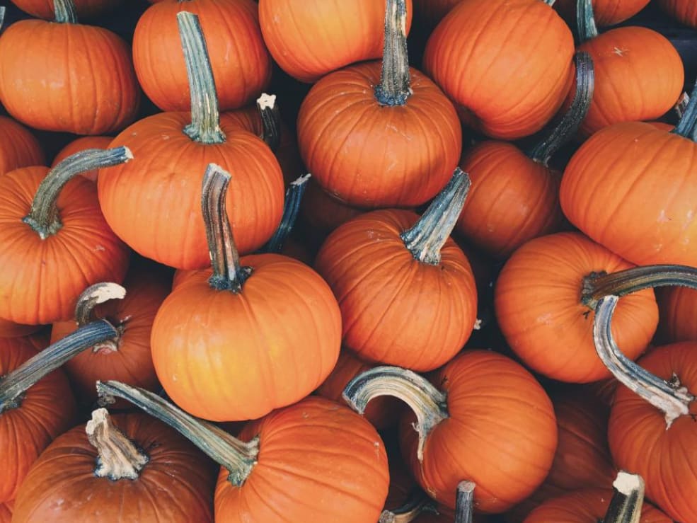 inception-app-prod/YmIxYjdmNjgtOWRkNC00OGU4LTljMmQtMjRmYjg1NTVkYWQ2/content/2019/09/pumpkins.png