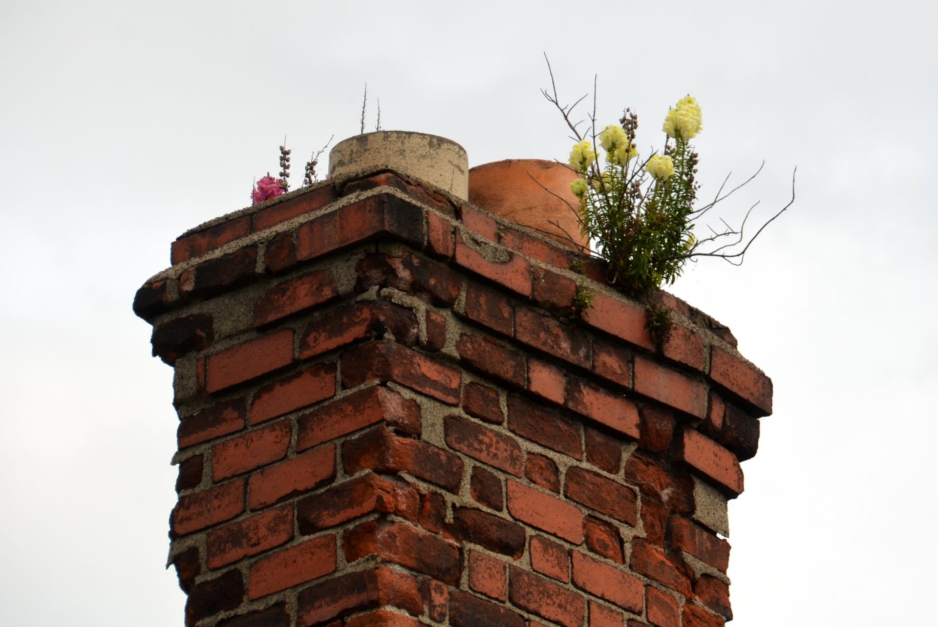 Home Inspections... more than just the house inception-app-prod/YmMzOTc5ZDUtNDNhNC00Y2MyLWI4YjAtYzkyZTY2NWYzNTM0/content/2020/06/chimney-with-flowers.jpg