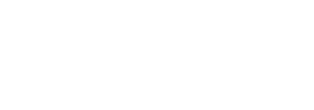 Domingo Moya logo