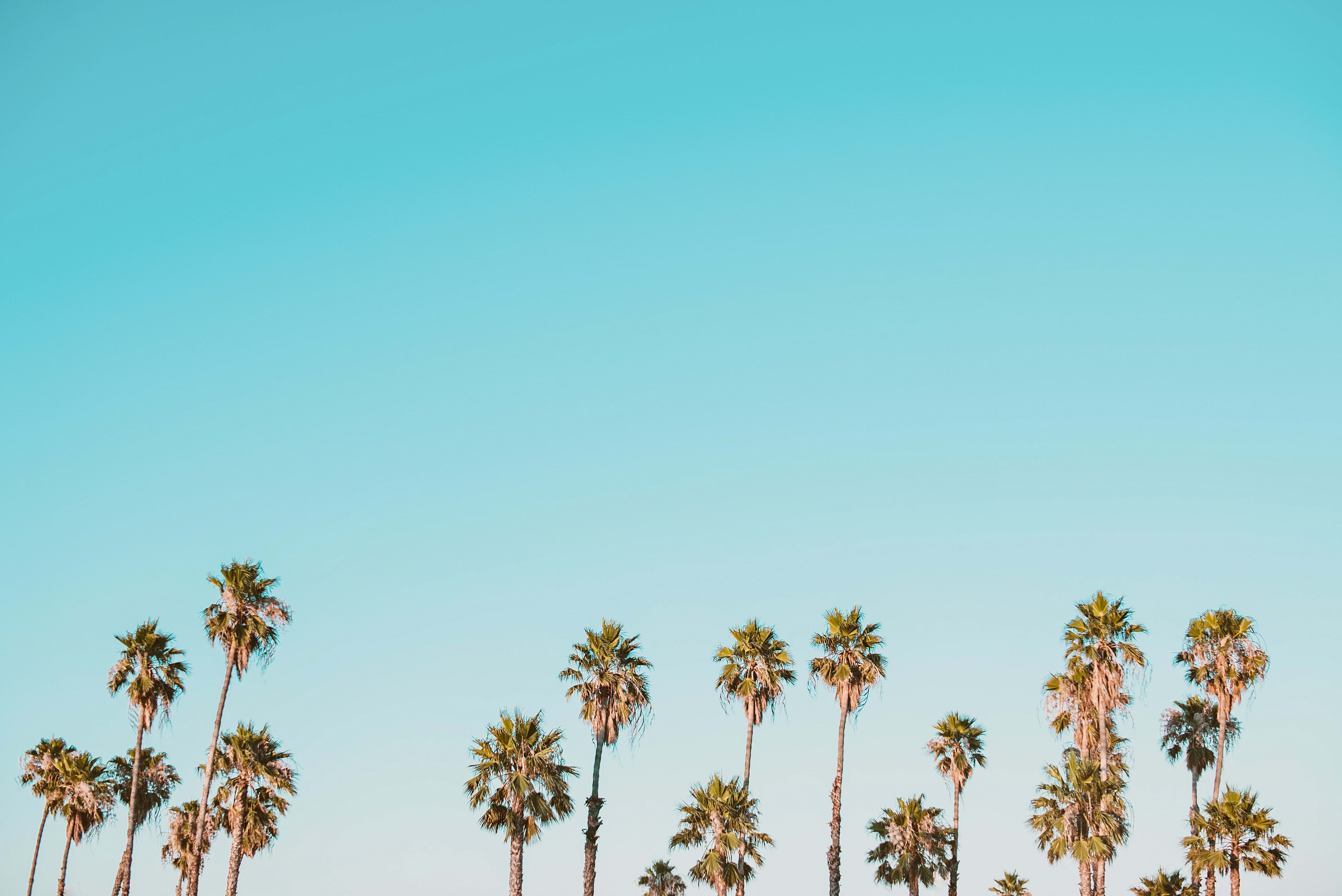 How to find the right mortgage lender? inception-app-prod/YmU2OGI3MTYtODRlMy00MzdhLTg0YWMtZTIyNDhkMDQyYzM1/content/2024/07/779dc42e43d70a9cb84e091faea96aeb0e336f8b.jpg