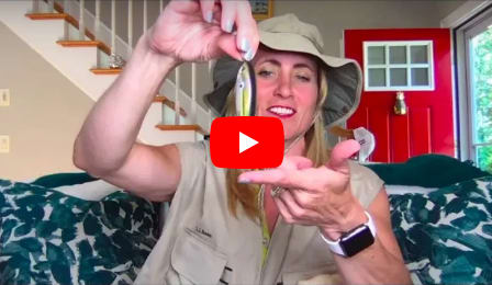 inception-app-prod/YzAyNzkwNmQtNzkwZC00Y2UwLWFiZjYtZTc4OGU1YjRlMDll/content/2018/07/Screen Shot 2018-07-24 at 4.21.10 PM.png