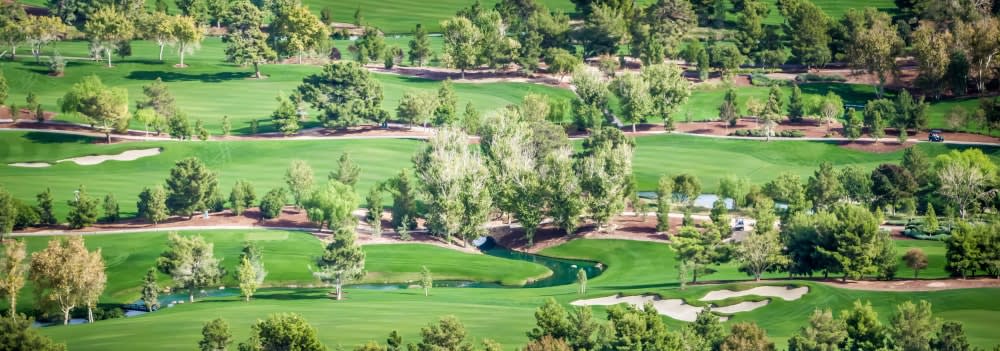 Top 6 Golf Course in Las Vegas inception-app-prod/YzAzZjdkNDgtM2MyYy00MWU1LTgxNWQtZGViNGU1MzNjODA3/content/2022/03/735d5705b3df8ff97481860c5cb402f31c29f692.jpg