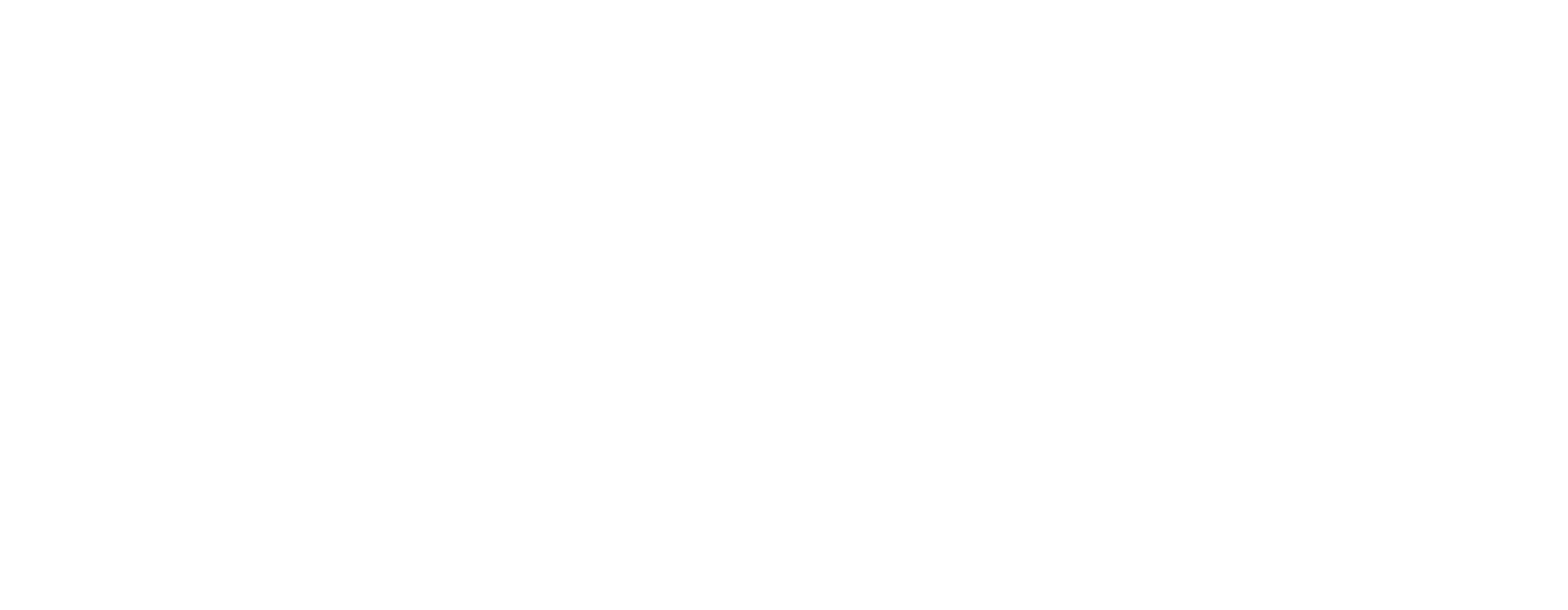 Melisa McGuire logo