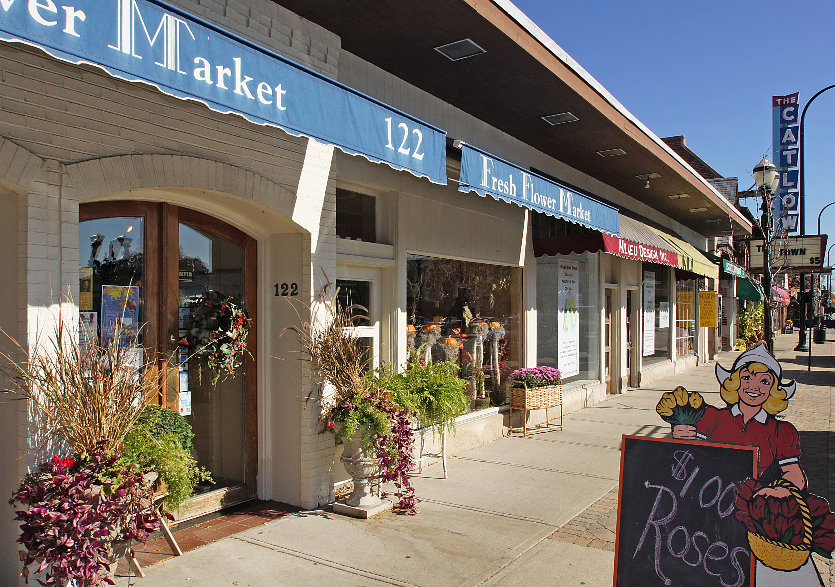 inception-app-prod/YzE2NGQyMDctOTMzOC00NjZhLTkzYjAtY2Q3OWQyZGNhNTNh/content/2018/11/Barrington Catlow-2.jpg