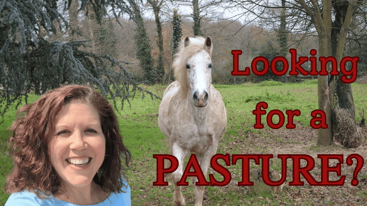 How to Choose the Best Equestrian Property for Your Horses inception-app-prod/YzM2ODQzYTMtMGY5MC00YzdjLWEyYjAtYjdjZjQwZDUxNGM4/content/2025/05/e5513ac3d78b69f796ccf3fade97c823cdf5005a.png