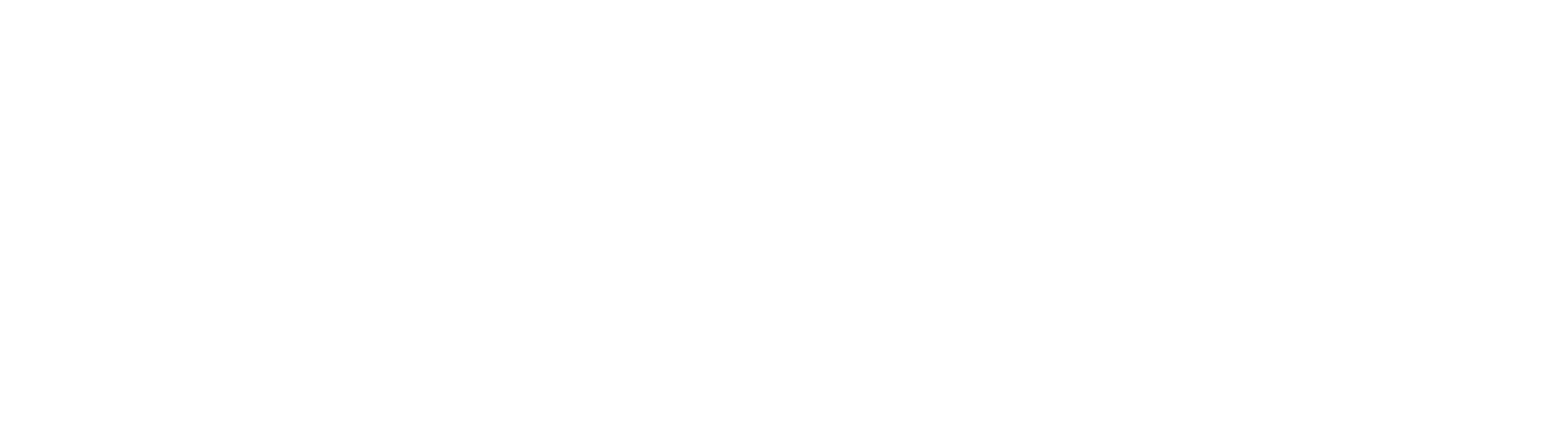 Lynn Snow Homes logo