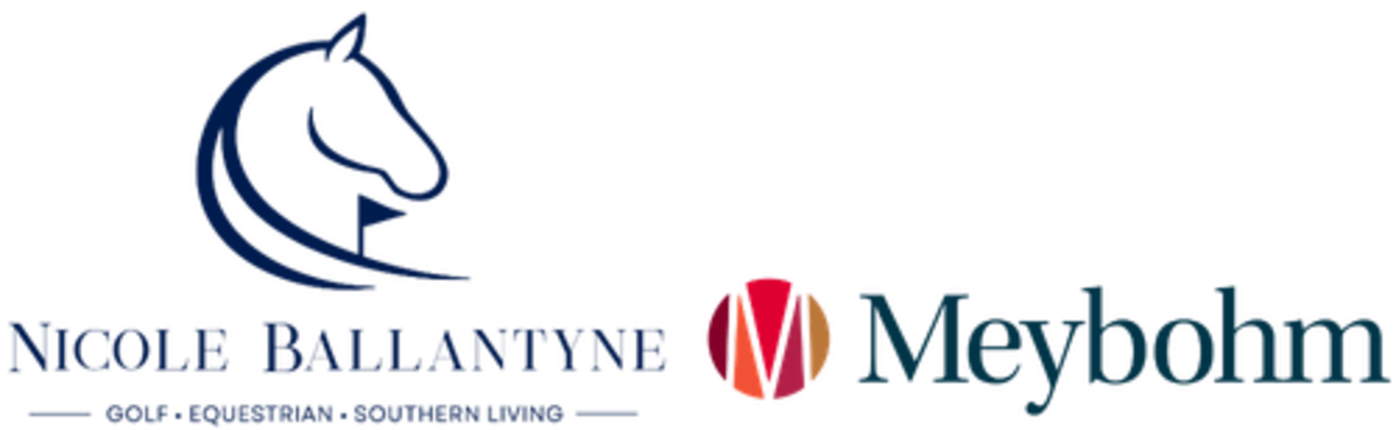 Nicole Ballantyne logo