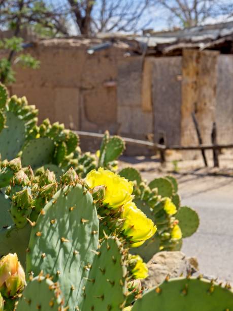 <p>Historic Mesilla (Old Mesilla) </p> inception-app-prod/YzhkMjFkYzYtYTY0OC00ODhkLTgwM2ItM2Q2YTQ2Nzk5ZTky/content/2025/10/a41337b186e224b592640e4512f1a261b3632ee6.jpeg