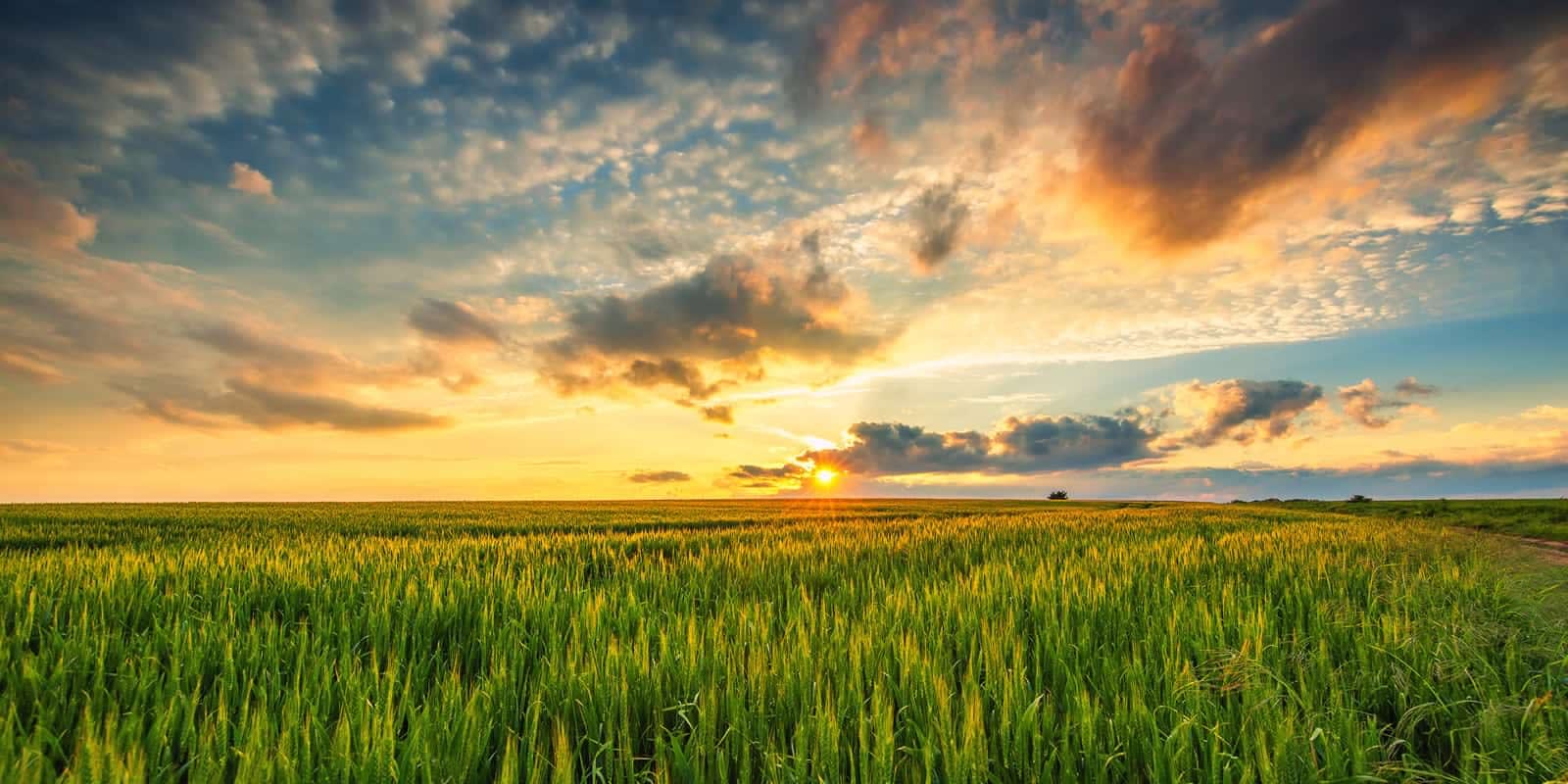 Texas Land Search in the North Texas and Dallas and Fort Worth DFW Areas Land Sales and Lease Search in the DFW Area