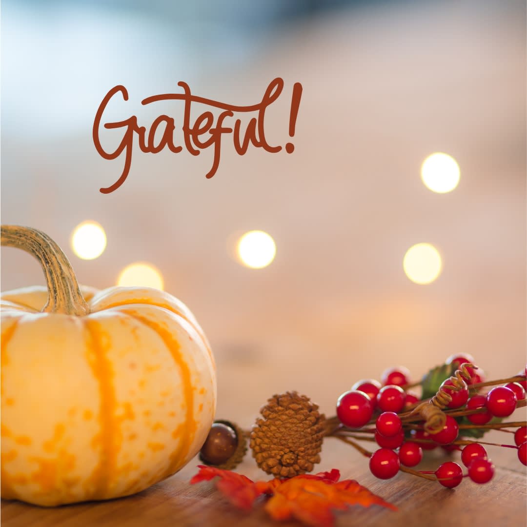 Thanksgiving at the Beach: A Unique Holiday Escape inception-app-prod/ZDBiNGVlOTYtZmRmZS00OTZkLWFjOGYtMDJlZjY2NWI2OTk0/content/2024/11/cd6a95f5dfd0986606f038371577cc77518b6e2b.jpg