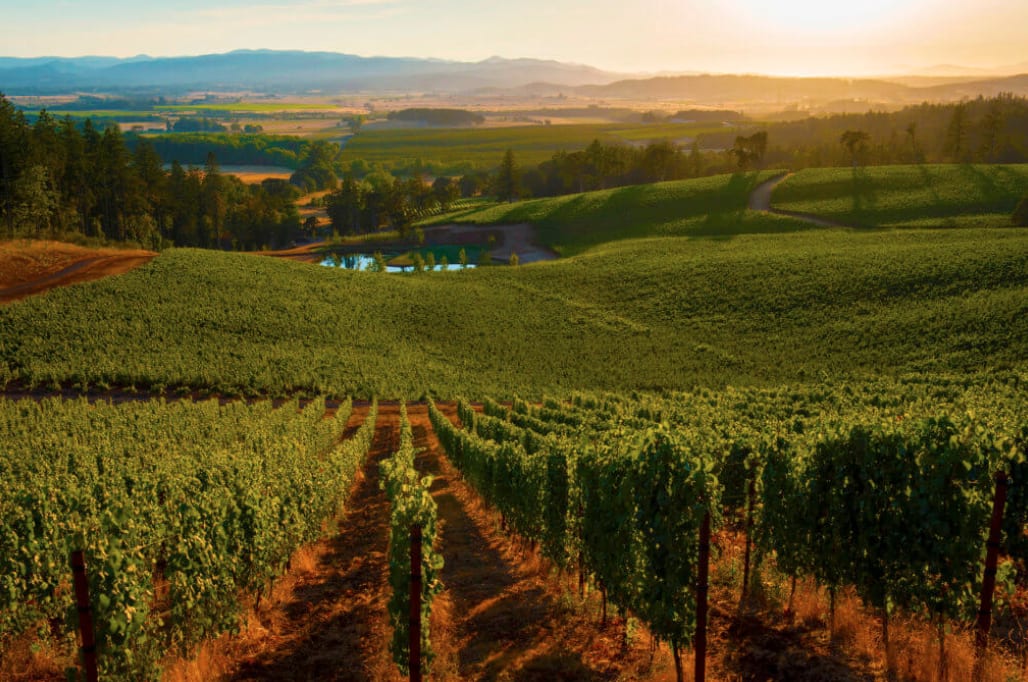 A Guide To Understanding Rural Property in Sonoma County inception-app-prod/ZDFmOWMzYTktNzU4Zi00YTIzLTk3MjYtYThkN2JkMGVlYzA3/content/2019/09/screen-shot-2019-09-09-at-5.44.03-pm.png