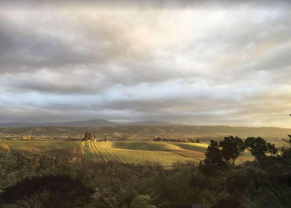 A Guide To The Healdsburg Vacation Rental Market? inception-app-prod/ZDFmOWMzYTktNzU4Zi00YTIzLTk3MjYtYThkN2JkMGVlYzA3/content/2020/02/screen-shot-2020-02-14-at-11.02.06-am.png