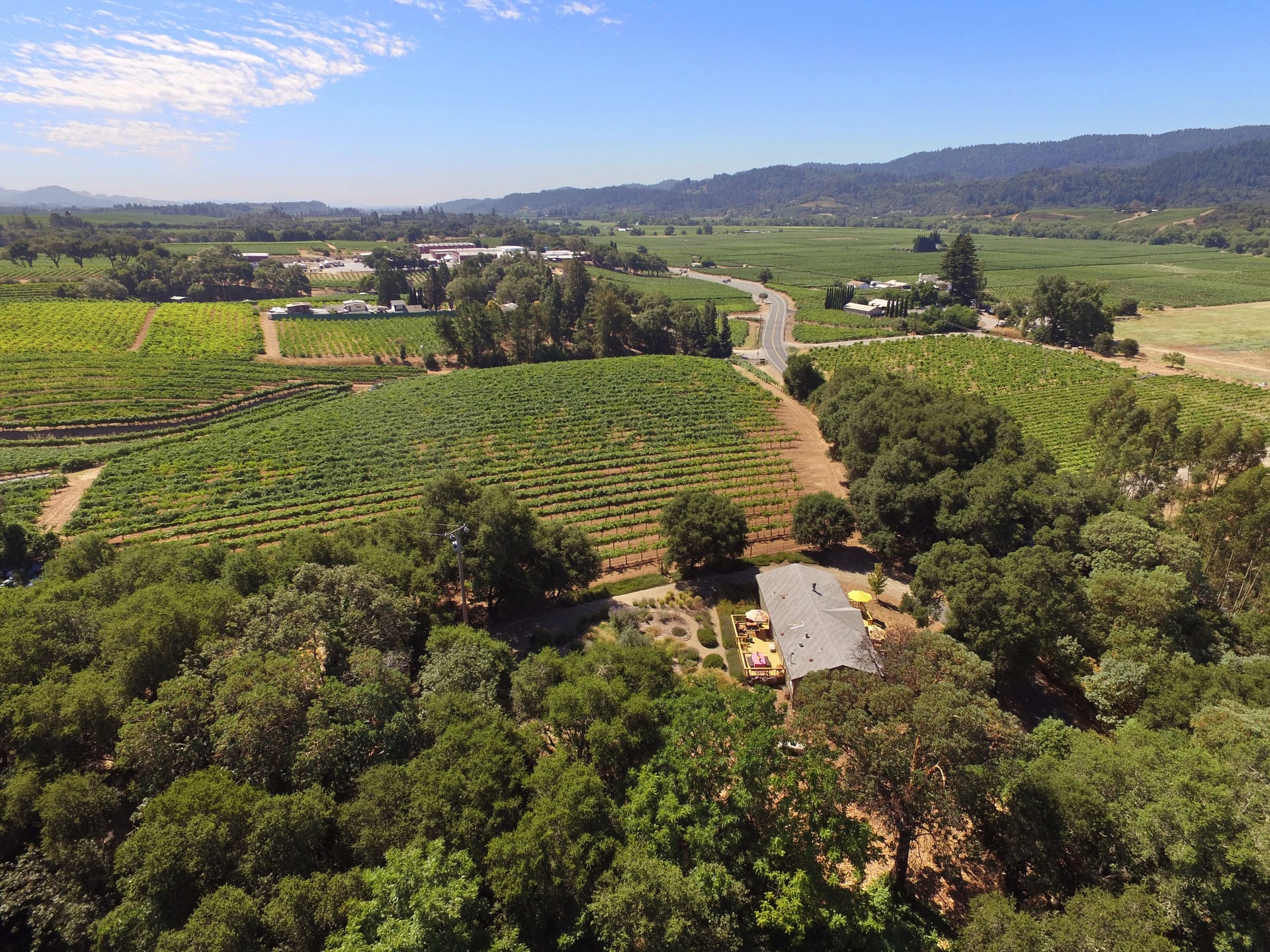 Why Use Drones For Selling Homes? inception-app-prod/ZDFmOWMzYTktNzU4Zi00YTIzLTk3MjYtYThkN2JkMGVlYzA3/content/2020/10/dji0565-f.jpg