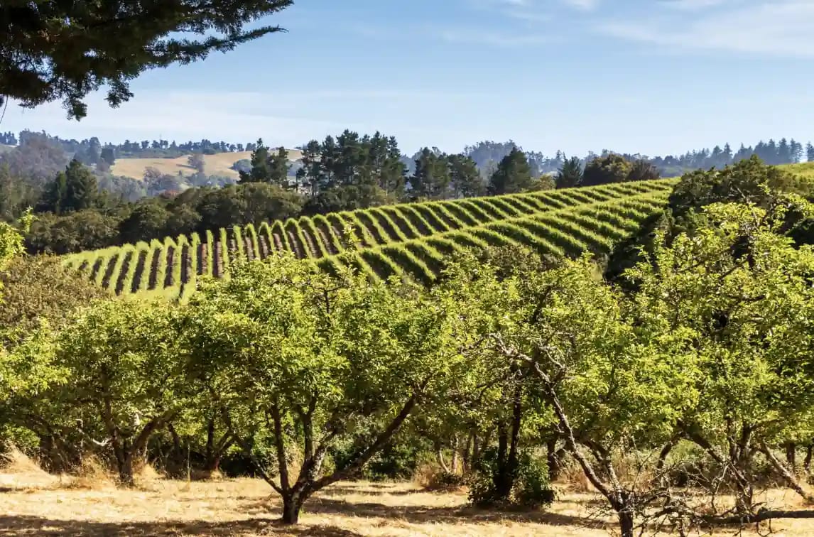 Sonoma County vs the National Housing Market in 2026 inception-app-prod/ZDFmOWMzYTktNzU4Zi00YTIzLTk3MjYtYThkN2JkMGVlYzA3/content/2026/08/659f2862a2047edb7e852c9ef36e35a54dcbd778.webp