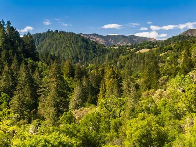 A Local Guide to Things to Do in Healdsburg, CA inception-app-prod/ZDFmOWMzYTktNzU4Zi00YTIzLTk3MjYtYThkN2JkMGVlYzA3/content/2026/10/c5ba292035c8a4b3a84048d7ef0ee634e421b0fb.jpg