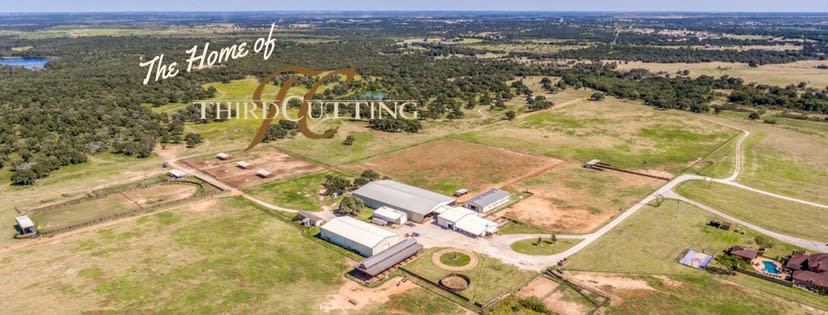 inception-app-prod/ZDI1YjFmYzUtNmM5Ny00YWY3LWFkMjItZGMzZWQzMDIzZDVi/content/2016/10/The Home of%281%29.jpg