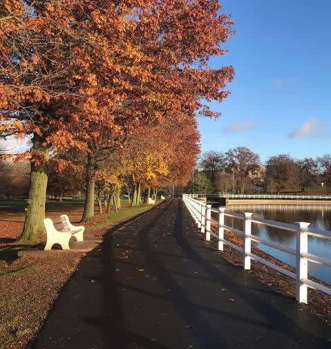 Edison inception-app-prod/ZDI2MGMyYjAtYjk1Yy00YWFlLThkZmQtMjQ2OWY0NjM2NTgw/content/2023/04/790015679a0a03469e63a996c1567333a570dee7.jpg