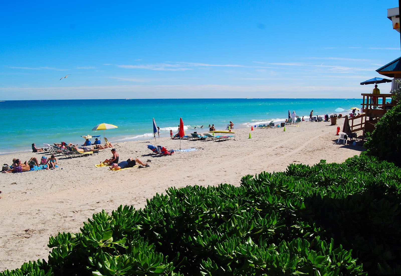 inception-app-prod/ZDI3ZDE3MjktNDM4Zi00YWViLTljMDMtNjlkYmUwZDRmZDE2/content/2017/07/Ramada 2360066Fernando Pettineroli. All rights reserved..JPG