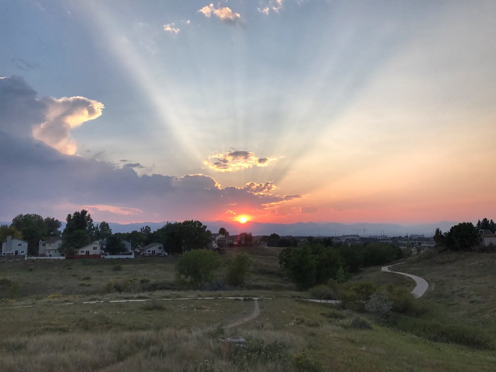 Highlands Ranch inception-app-prod/ZDNlNDE5ZWUtN2M2Zi00MzA4LWEwMDQtOWRjY2M1NzhjNDA3/content/2026/06/172bb68773059473d1c1b213062784da252a109c.jpg