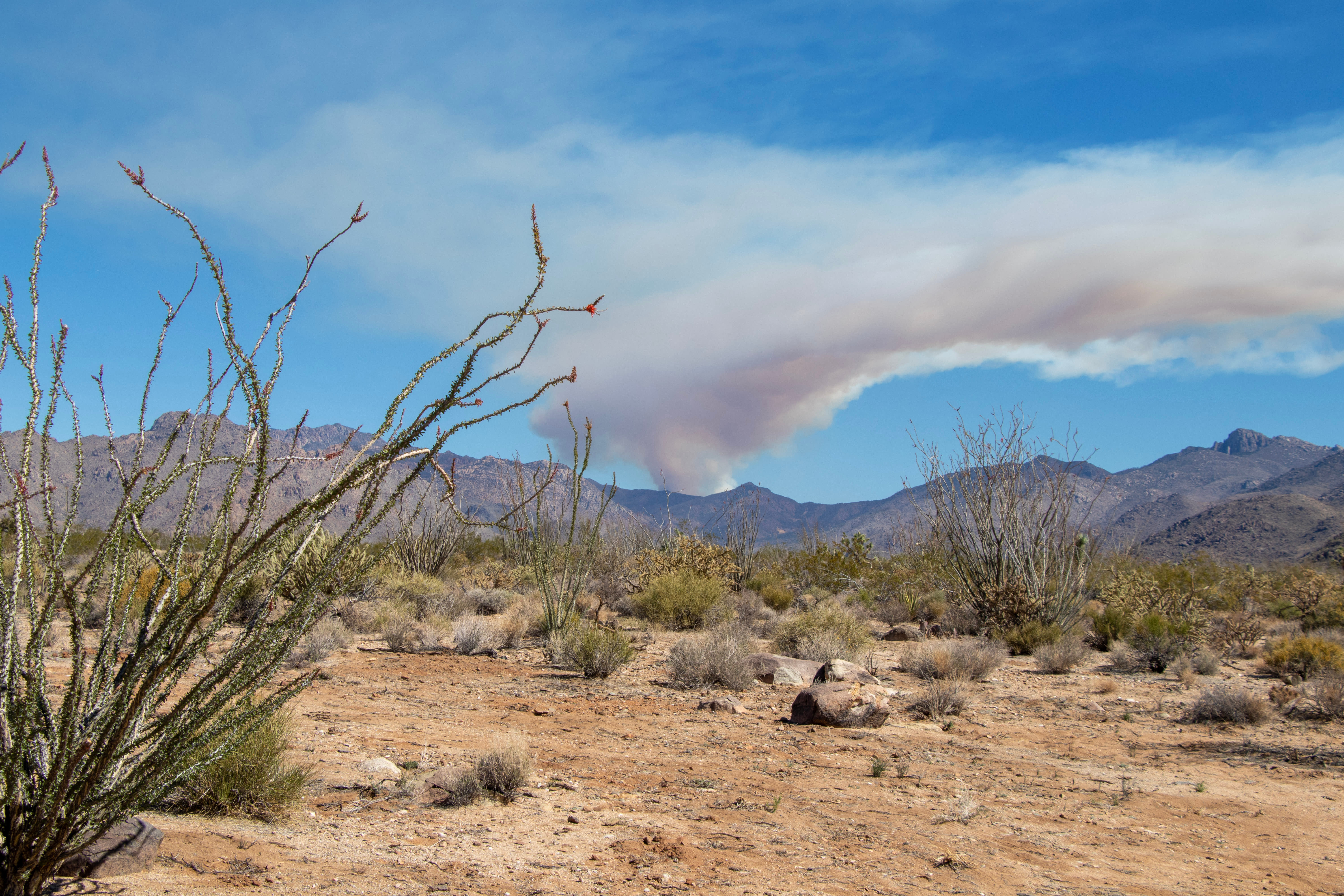 Arizona Wildfire Season inception-app-prod/ZDQ0MTlkOGQtM2MyOS00MGRiLThkMTAtN2NmODVkZTVjM2U2/content/2023/06/6e35304d790e2b2f6412950b07f6b1df990b1cd8.jpeg