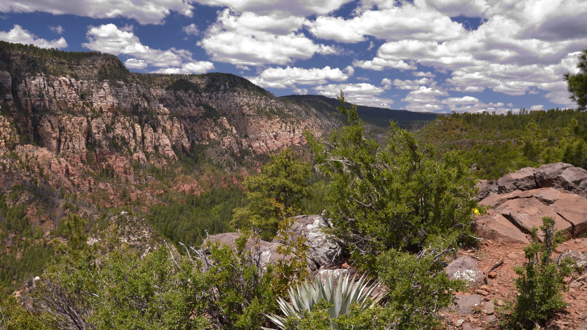 Oak Flat - Why We Support Saving an Arizona Treasure inception-app-prod/ZDQ0MTlkOGQtM2MyOS00MGRiLThkMTAtN2NmODVkZTVjM2U2/content/2025/01/aa2790f34d85255c4f01aeb3c5ae8a0511dbc5dd.png