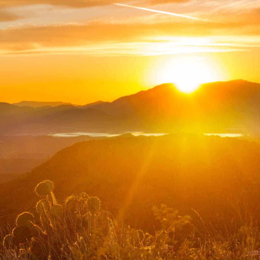 Dive Into Summer: The Coolest Ways to Beat the Arizona Heat! inception-app-prod/ZDQ0MTlkOGQtM2MyOS00MGRiLThkMTAtN2NmODVkZTVjM2U2/content/2026/07/a7338f8ffc5edbd7acbaa79389870b2896646872.png