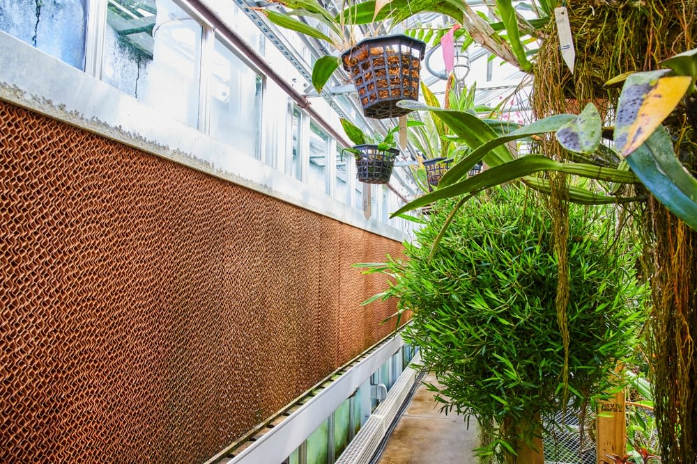 Transform Your Midwest Home with Biophilic Design: Embrace Nature's Beauty and Enhance Your Well-Being inception-app-prod/ZDUxNWE2NGQtOTkwMC00N2NmLTg5NmUtNWFhZTIxZWZlNDJk/content/2024/12/e37dd5d7033f41719ef0e5030e5f5f6bc9dfb02e.jpg